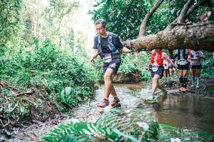 BIB: 
                            <button type="button" onclick="openModal(25477528)" class="btn btn-primary btn-sm float-right btn-popup" data-toggle="modal" data-target=".modal-high-quality">
                        <i class="fas fa-shopping-cart"></i> Add to Cart
                    </button>
                                            <button type="button" onclick="isThisMe(25477528, true)" class="btn btn-success btn-sm float-right btn-popup btn-isme hidden" data-toggle="tooltip" data-placement="bottom" title="นี่คือรูปของคุณใช่ไหม คลิกที่นี่เพื่อเอาเข้าอัลบั้ม">
                        <i class="fas fa-plus"></i> Add to album
                    </button>
                    <button type="button" onclick="isThisMe(25477528, false)" class="btn btn-warning btn-sm float-right btn-popup btn-isnotme hidden">
                        <i class="fas fa-ban"></i> Remove from album
                    </button>